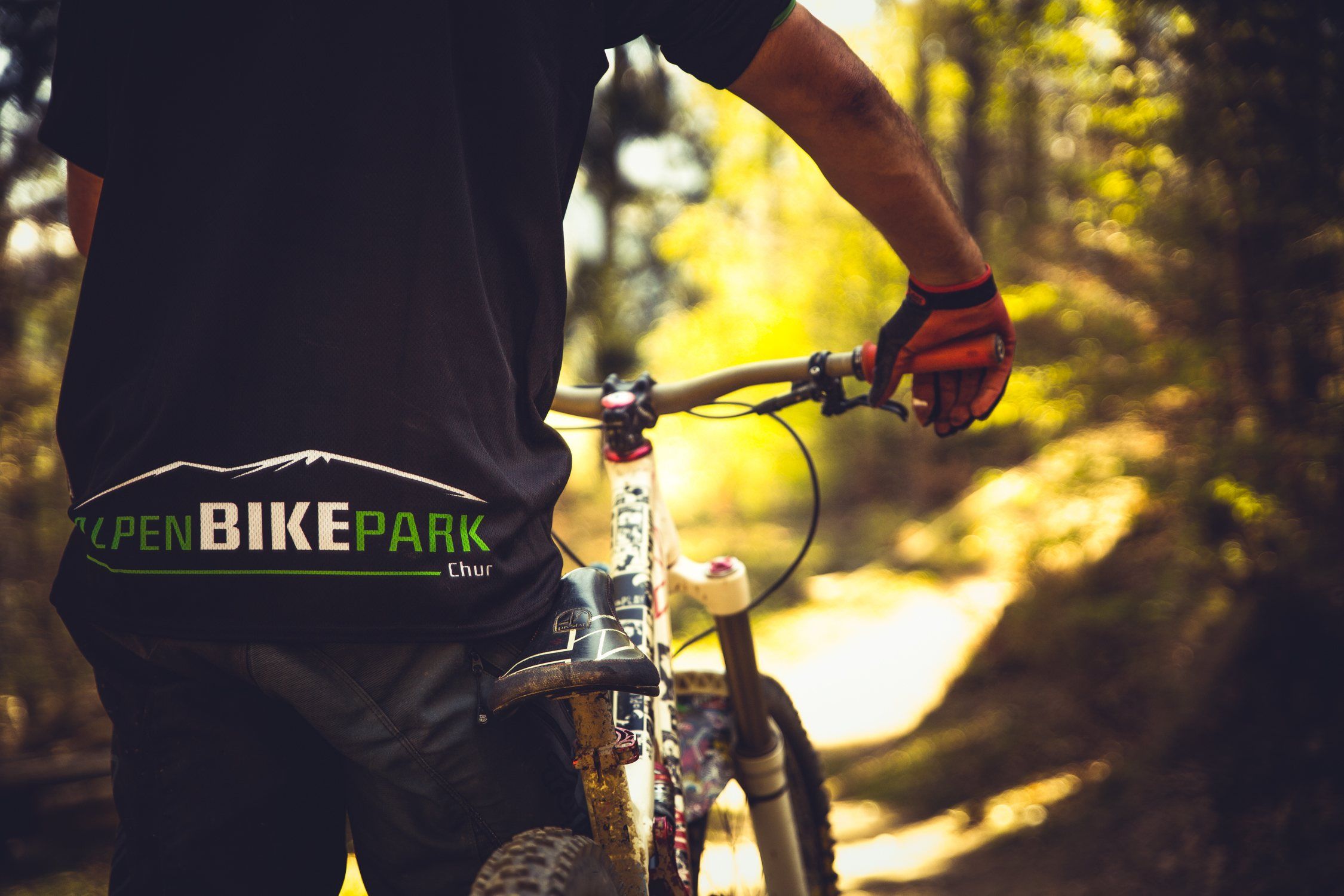 Rider im Alpenbikepark-Shirt hält sein Bike im sonnigen Wald
