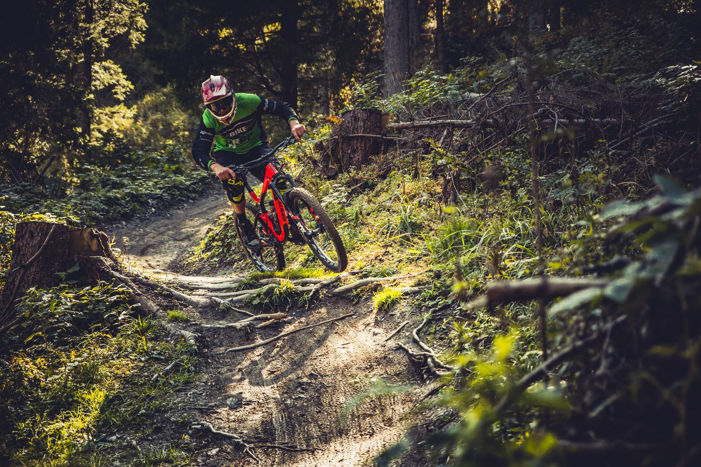 Rider auf einem steilen Waldtrail im Gegenlicht
